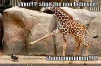 Shun the unbeliever! Shun the unbeliever!