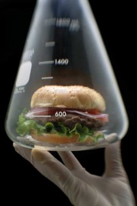 Test tube meat